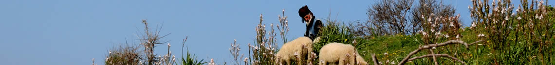 Gökçeada