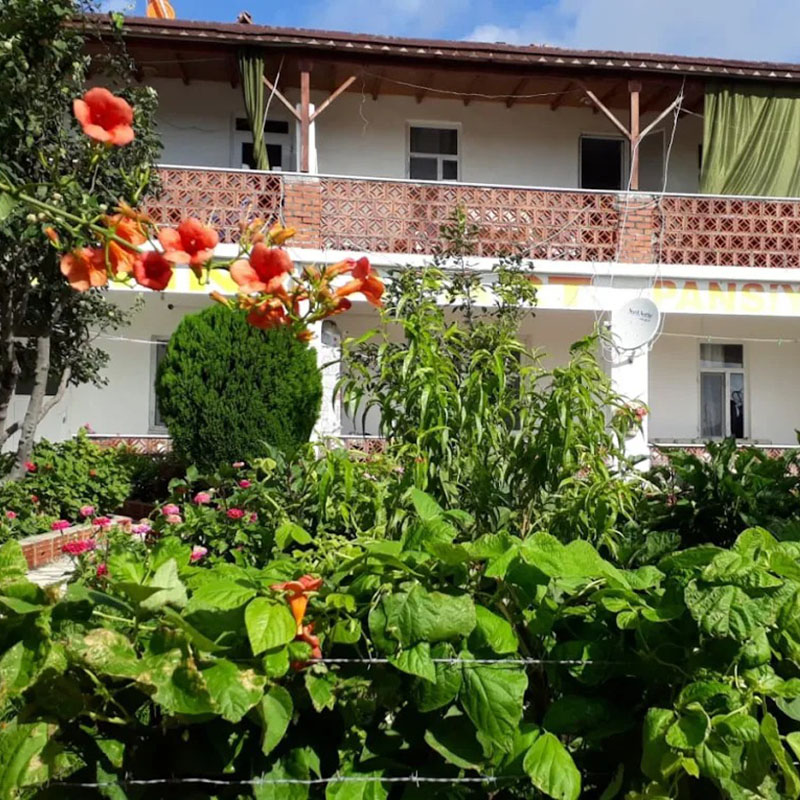 Altın Pansiyon