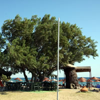 Şen Camping